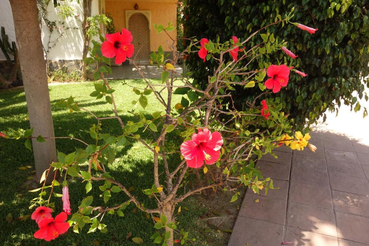 Vera Playa Spain - La Menara Naturist Complex - Eagles Nest - Penthouse Exteriör bild